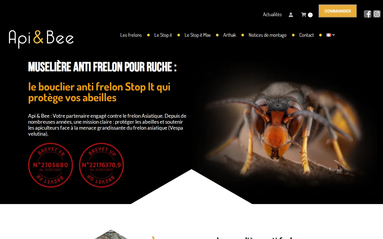 Aperçu du site API & BEE, PROTECTION DES RUCHES CONTRE LE FRELON ASIATIQUE